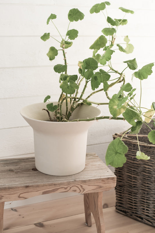 ÄNGHOLMEN (cream white)