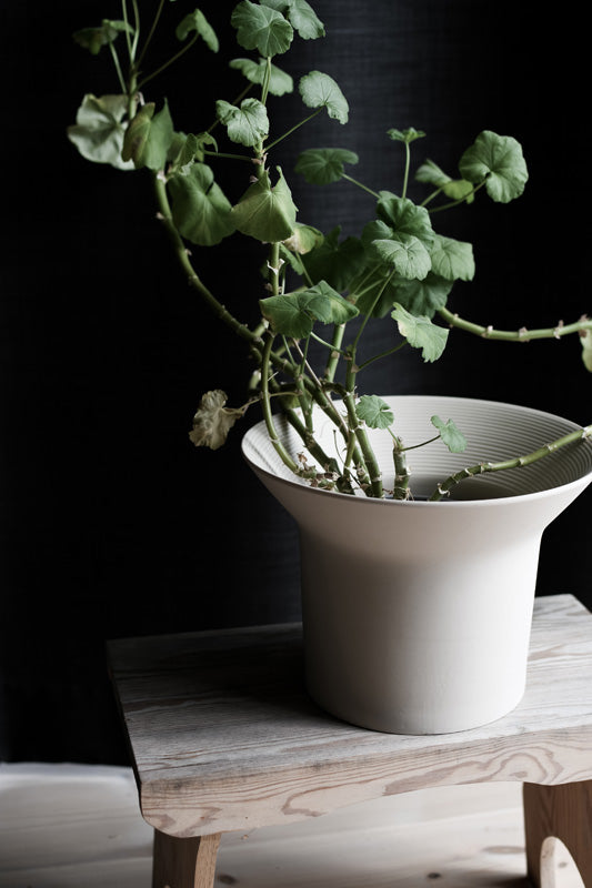 ÄNGHOLMEN (cream white)